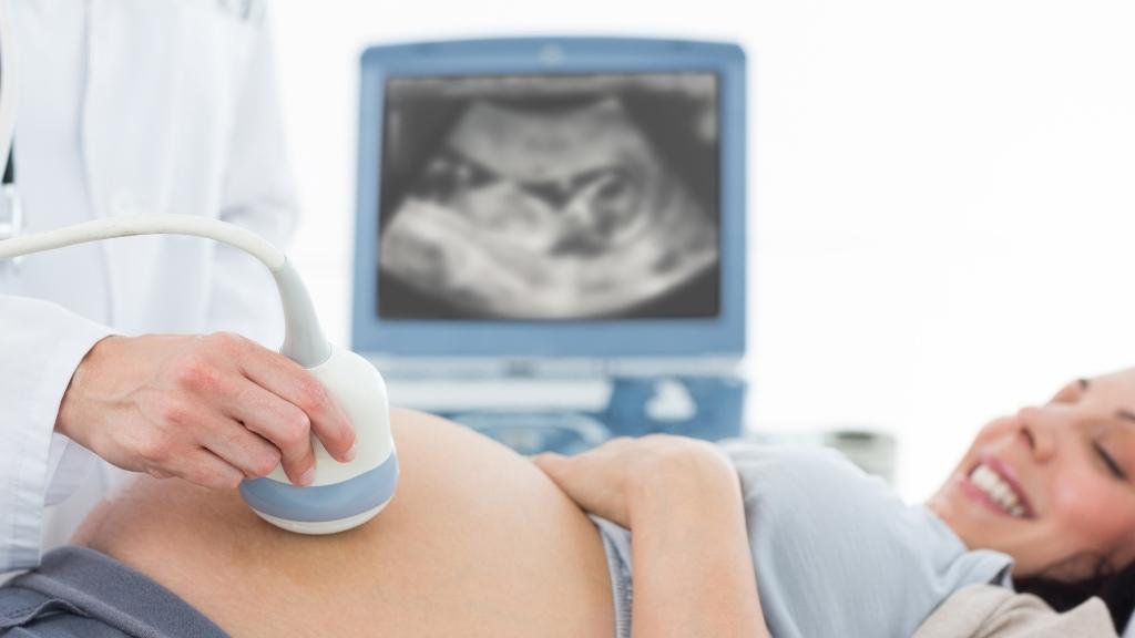 Pregnancy ultrasound. Image resource