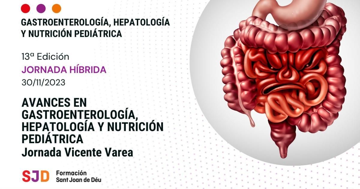 13ª Edición Avances En Gastroenterología Hepatología Y Nutrición Pediátrica Jornada Vicente 7089