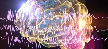 Máster en Epileptología Pediátrica y del Adulto Máster en Epileptología Pediátrica y del Adulto