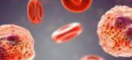 Máster en Inmunología clínica e inmunodeficiencias primarias Máster en Inmunología clínica e inmunodeficiencias primarias