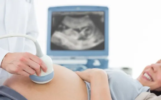 Pregnancy ultrasound. Image resource Pregnancy ultrasound. Image resource
