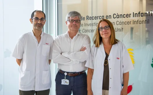 Leukemia research team from the SJD Pediatric Cancer Center at the SJD Barcelona Children's Hospital Leukemia research team from the SJD Pediatric Cancer Center at the SJD Barcelona Children's Hospital
