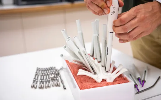 Proyecto 3D de simulación de una cirugía de escoliosis Proyecto 3D de simulación de una cirugía de escoliosis