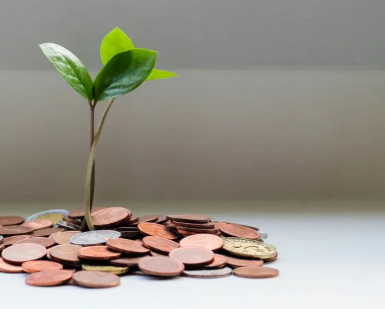 Monedas con brotes verdes para simbolizar rsc