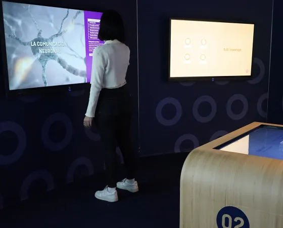 Dos personas consultan las pantallas interactivas del Ágora de la Ciencia Imagen del espacio de exposición sobre ciencia e investigación