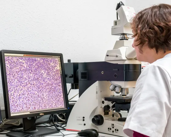 Anàlisi de mostres al laboratori - Hospital Sant Joan de Déu Barcelona